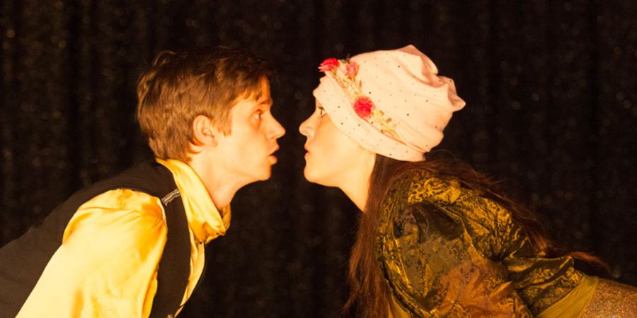 image - La Princesse au petit pois