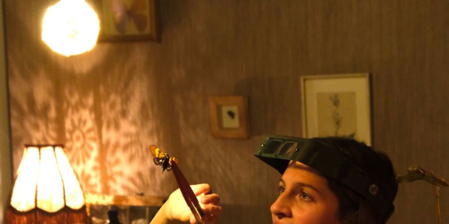 image - Fluisterbehang / Murmures de murs