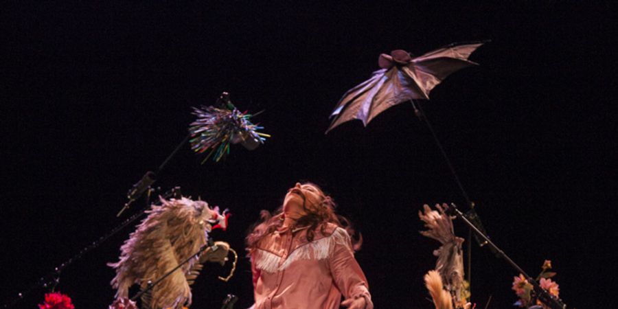 image - Feu les animaux