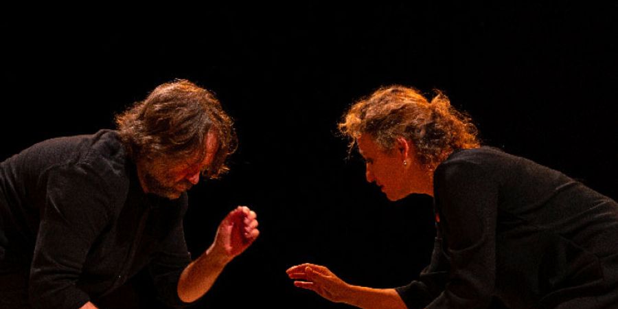 image - Petit concert à l'aube