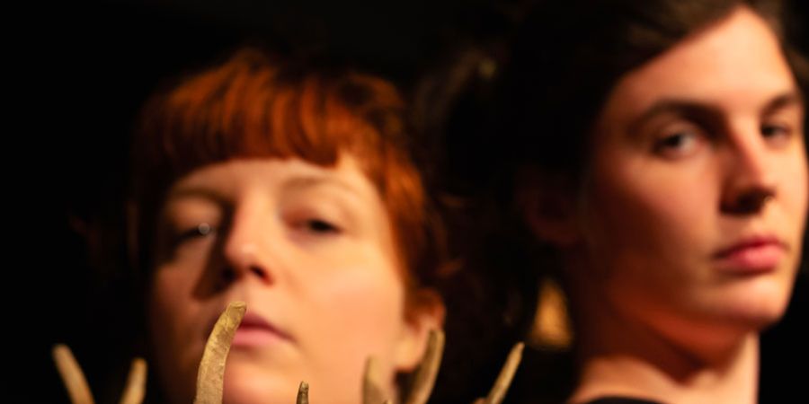 image - Dans les bois