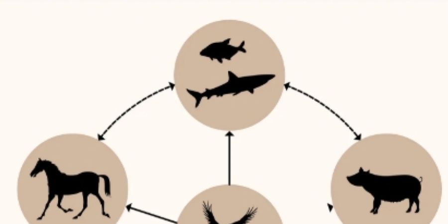 image - Conférence de l'Antenne interuniversitaire de Jette : 