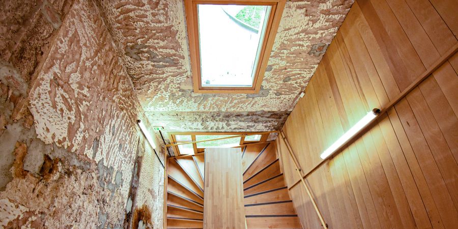 image - Le hêtre, une matière à réenchanter - séance 1/3 des 