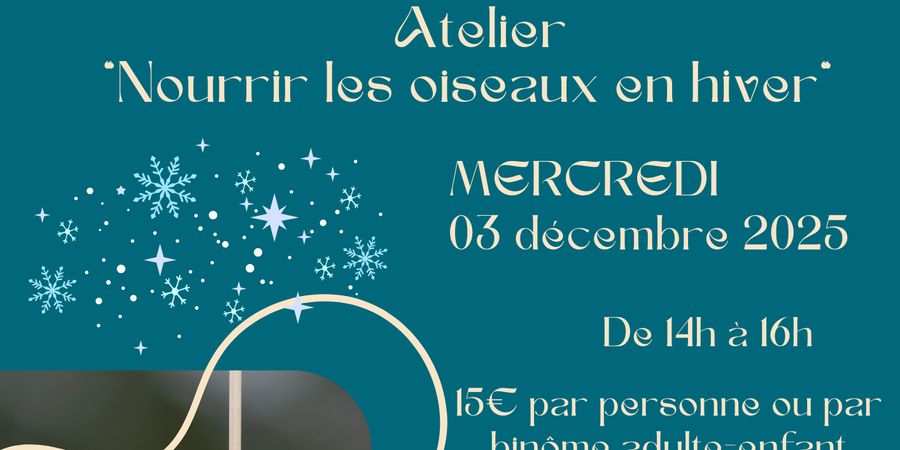 image - Nourrir les oiseaux en hiver