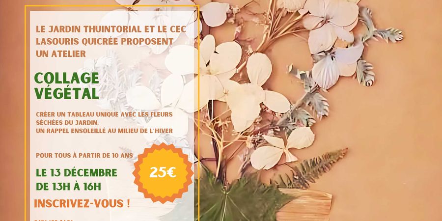 image - Atelier : Collage Végétal