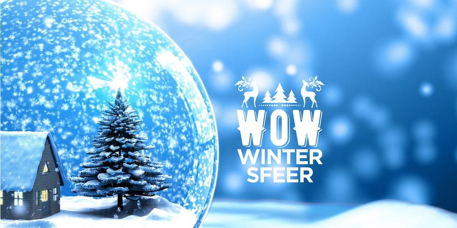 image - Boom Wintersfeer