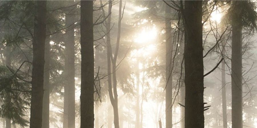 image - Le silence de Claire Lagrange