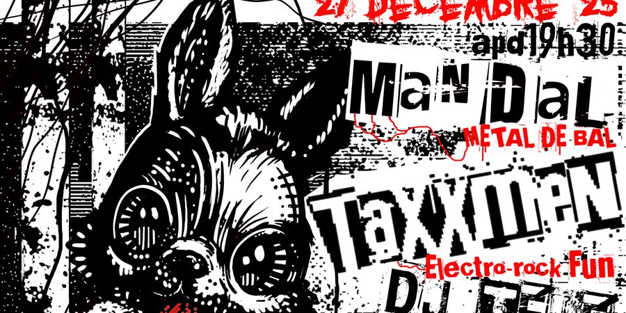 image - Concert punk rock fun!