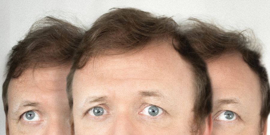 image - L'embarras du choix