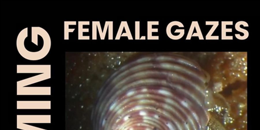 image - Expo Female Gaze(s)