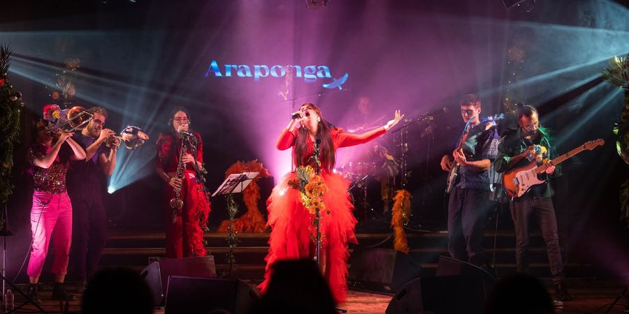 image - Le Voyage de l'Araponga