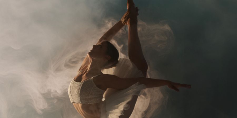 image - Le lac des cygnes