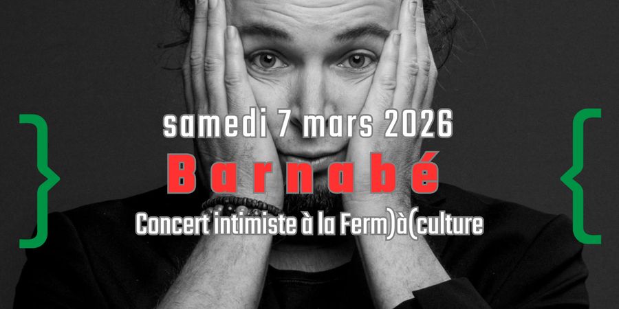 image - Barnabé en concert intimiste
