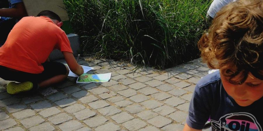 image - DUO Teinture naturelle