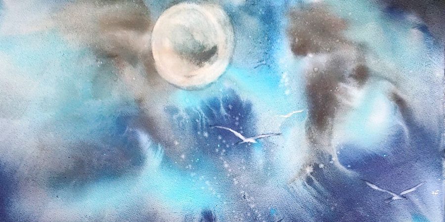 image - SARA FAROKHI 