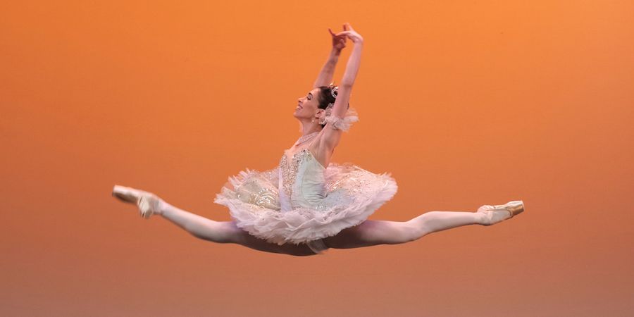 image - Estivales de la Danse