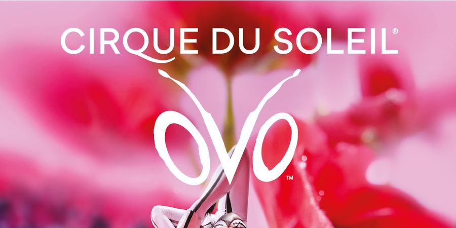image - OVO - Cirque du Soleil
