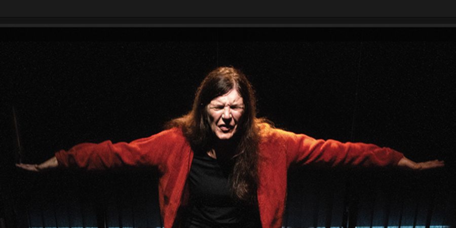 image - À Cheval sur le dos des Oiseaux