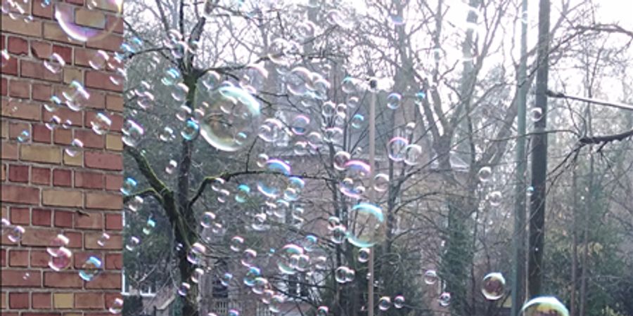 image - WaBo Nieuwjaarsreceptie