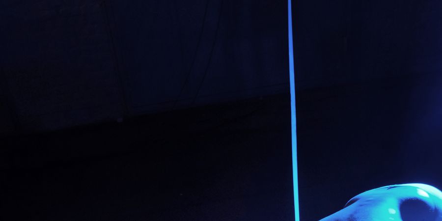 image - Feral Reverie