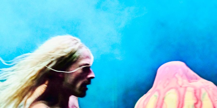 image - Maxime Dreesen Peekaboo