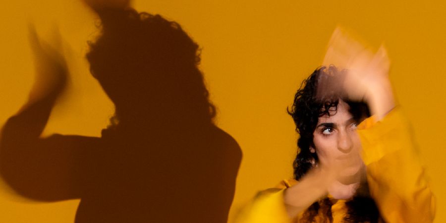 image - Nastaran Razawi Khorasani This is not a dance