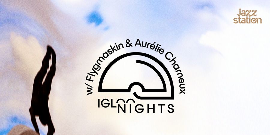 image - Igloo Night : Flygmaskin : Ianchelevici – feat. Aurélie Charneux