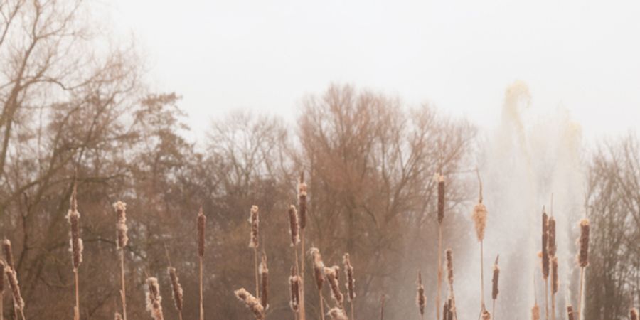 image - upsammy b2b Garçon + stebu