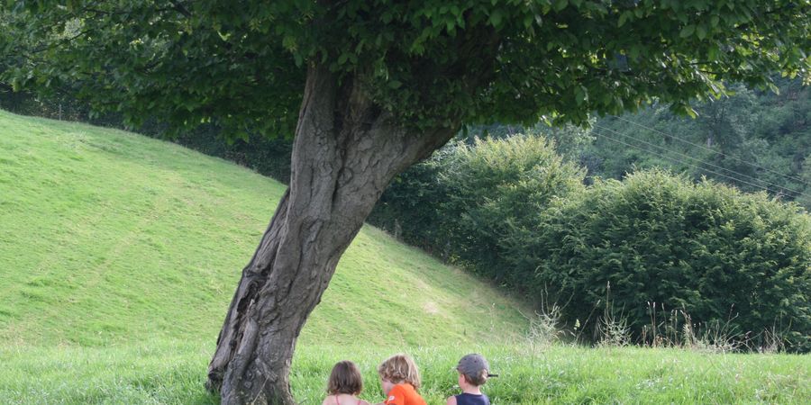 image - Stages de printemps