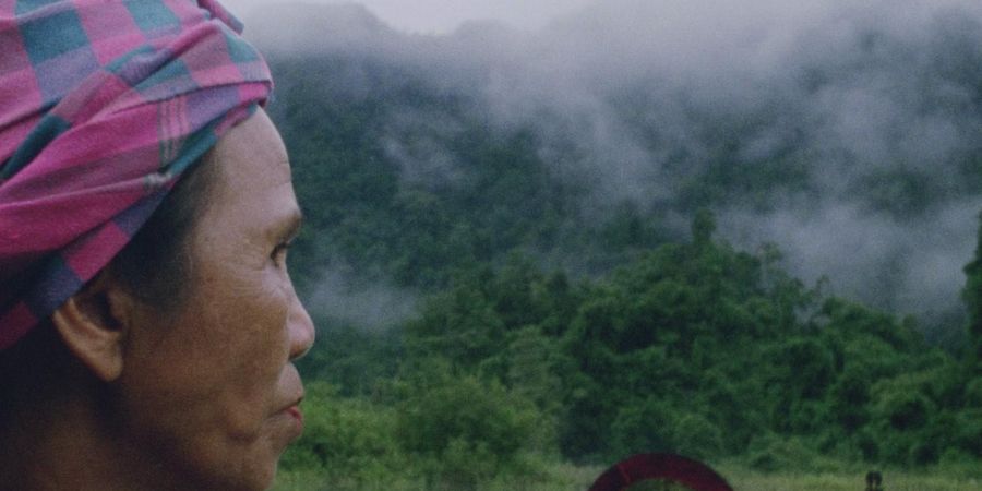 image - Hair, Paper, Water... - Truong Minh Quý & Nicolas Graux