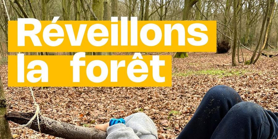 image - Stage des vacances de détente au Préhistomuseum - Réveillons la forêt