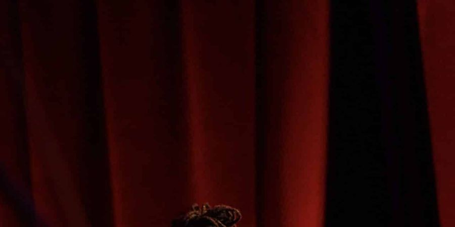 image - BRUSSELS SALSA PROJECT / SALSA NIGHT