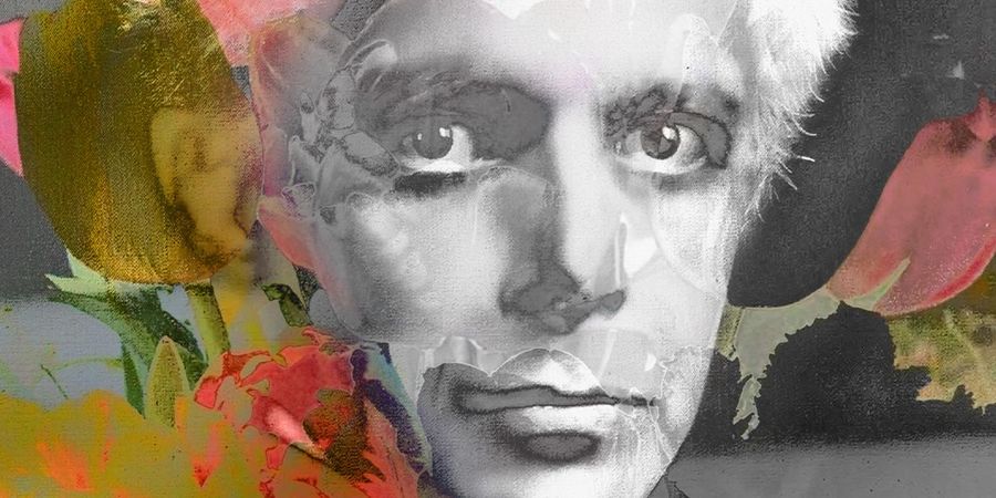 image - Bartók Festival