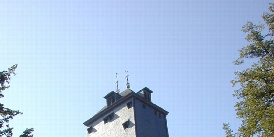 image - Visites de Saint-Martin, une basilique avec … et Saint-Denis (Liège).