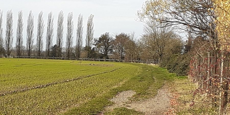 image - Balade médiative