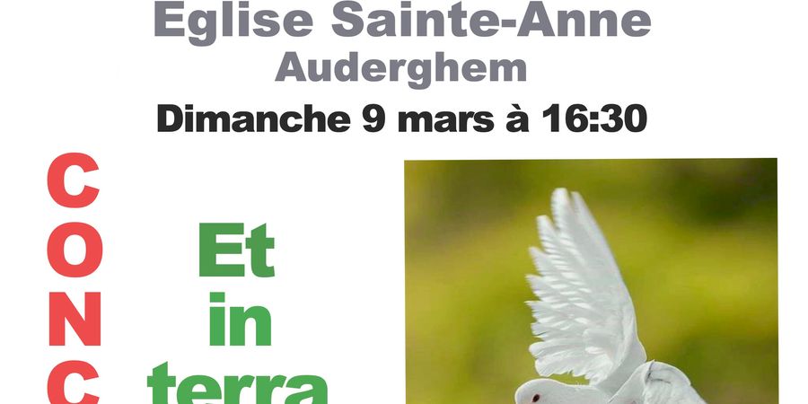 image - Et in terre Pax
