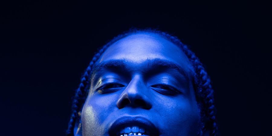 image - Furlax - Nixon