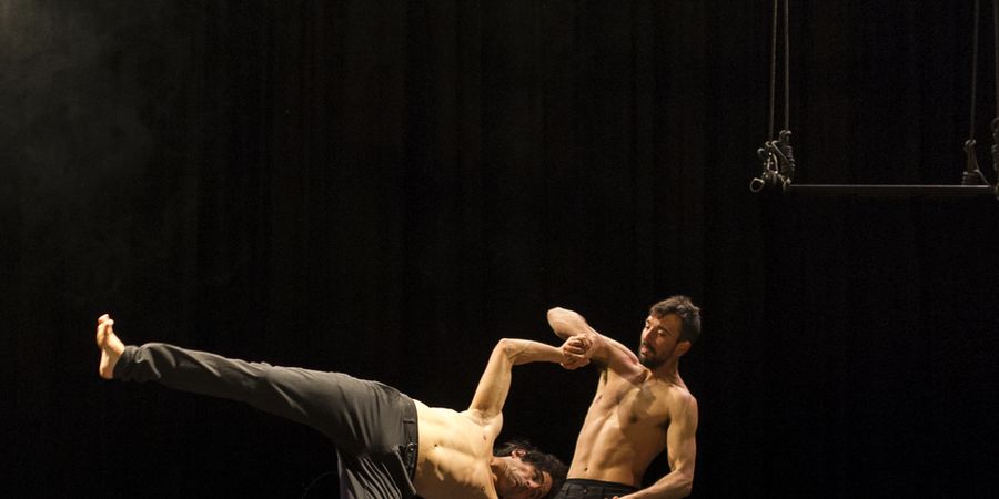 image - La Meute - Motel cactus