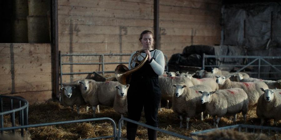 image - Notes from Sheepland de Cara Holmes
