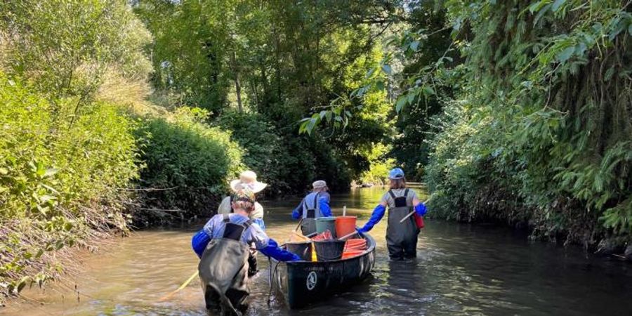 image - River Clean Up