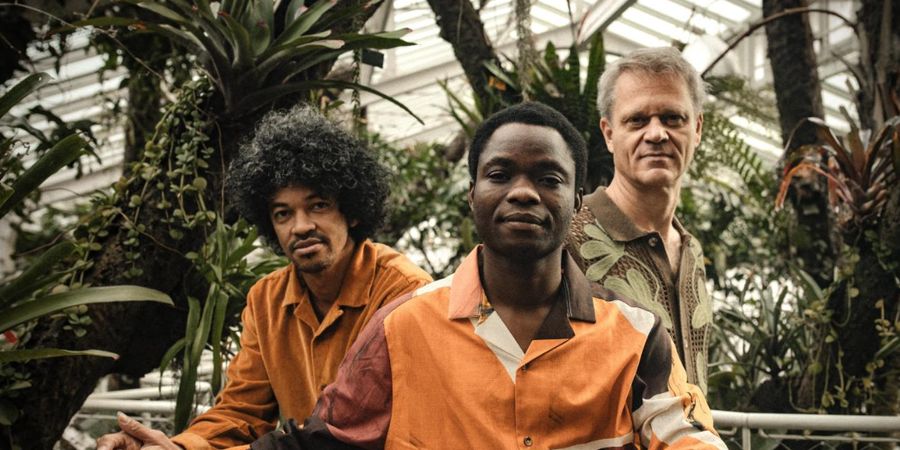 image - IBIYEWA