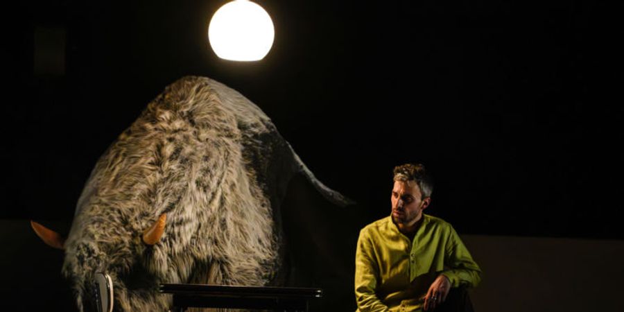 image - Fils de Bâtard