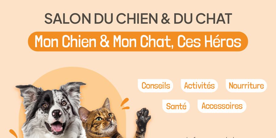 image - Mon Chien & Mon Chat, Ces Héros