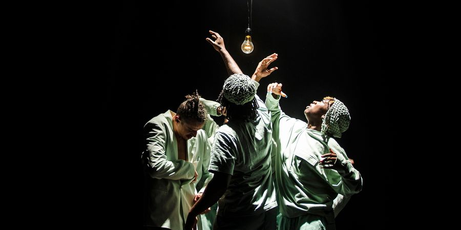image - D Festival : blind