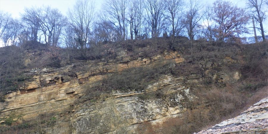 image - : Visite de la grotte de Comblain-au-Pont et balade 