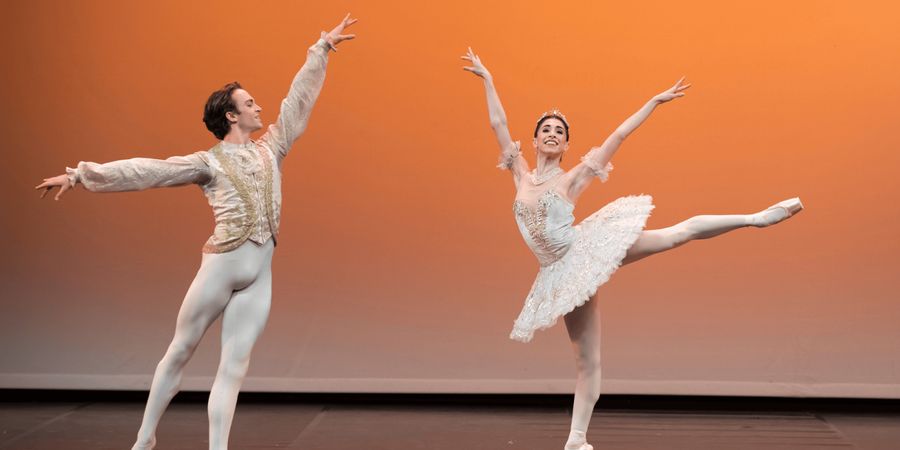 image - Estivales de la Danse