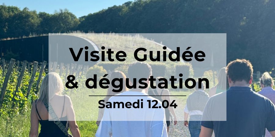image - Visite Guidée du Vignoble du Château de Bousval