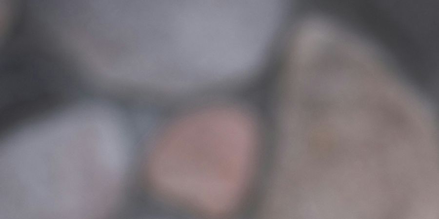 image - Atelier de lecture à voix haute 