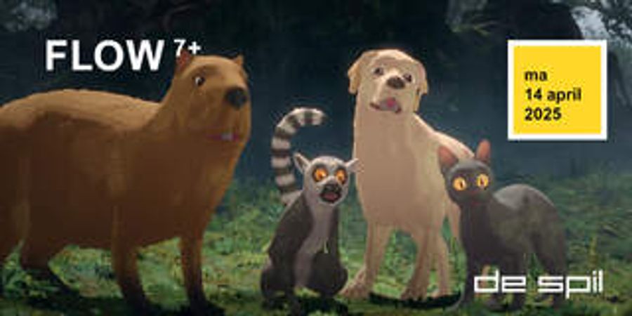 image - Stuutjes en cinema Flow