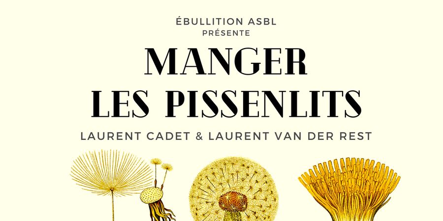 image - Manger les pissenlits
